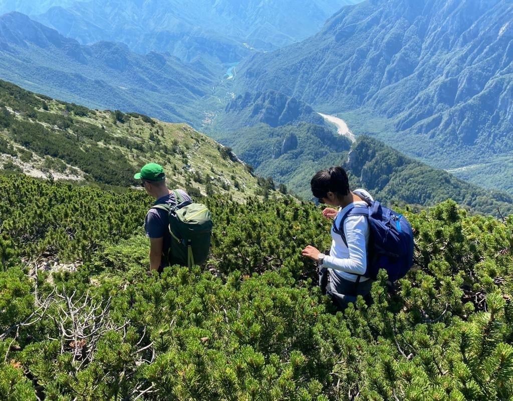 Mount Prenj — The Bosnian Himalayas