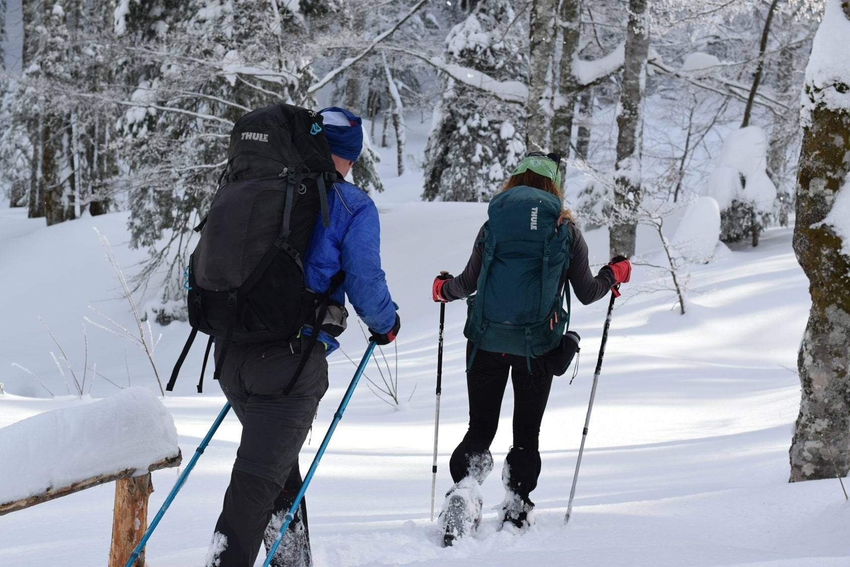 Winter Snowshoe Ridge Traverse