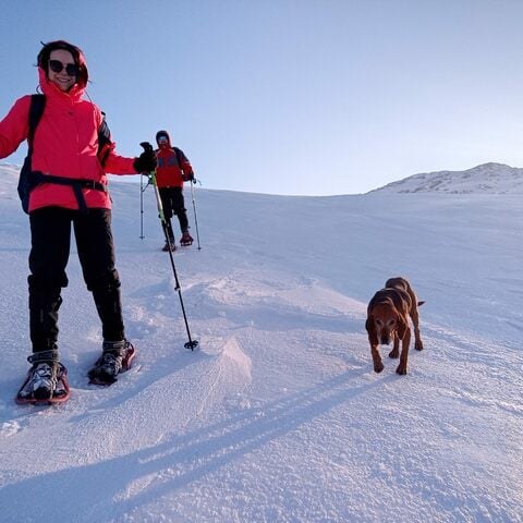 Deep Powder Snowshoe Journey