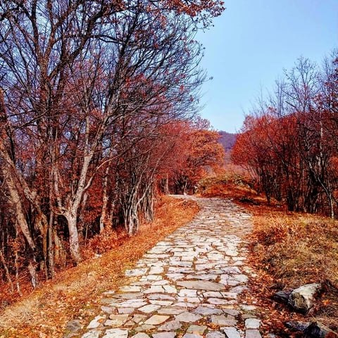 Via Dinarica White Trail Singletrack